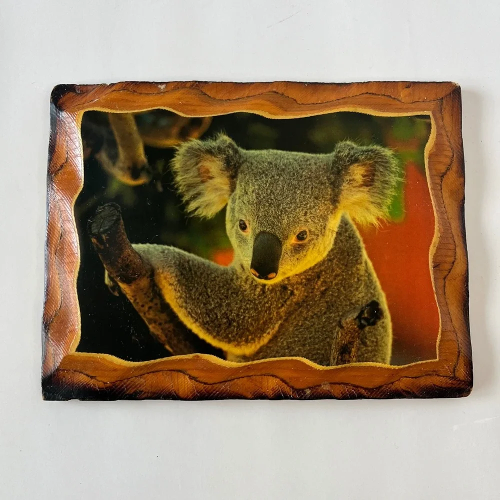 Vintage Koala Bear Wood Plaque Wall Decor Rustic Burnt‎ Edge Photo Art 8x6